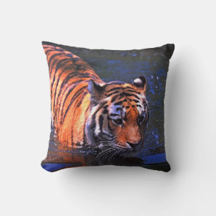 SHALLOW FOCUS FOTOGRAPHY OF BROWN AND BLACK TIGER KUSSEN