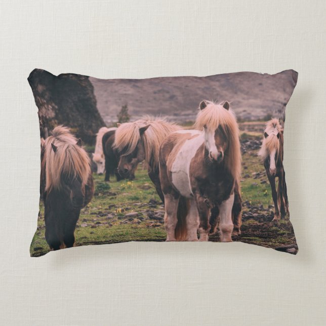 SHALLOW FOCUS FOTOGRAPHY OF HORSES ACCENT KUSSEN (Voorkant)