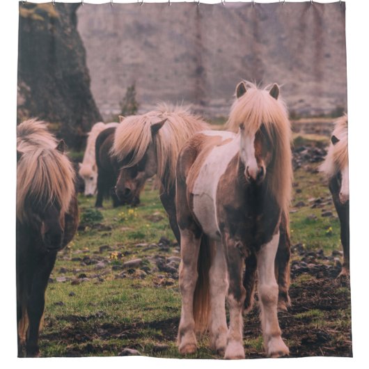 SHALLOW FOCUS FOTOGRAPHY OF HORSES DOUCHEGORDIJN (Voorkant)