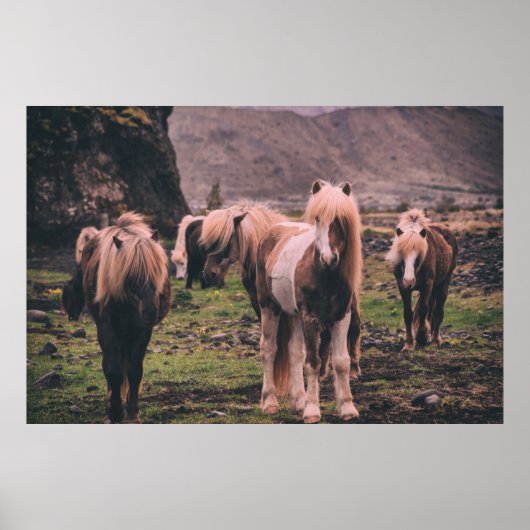 SHALLOW FOCUS FOTOGRAPHY OF HORSES POSTER (Voorkant)