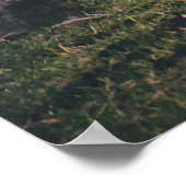 SHALLOW FOCUS FOTOGRAPHY OF HORSES POSTER (Hoek)