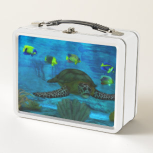 Shallow Waters Aquatic