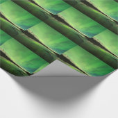 Shallows Aurora Cadeaupapier (Hoek)