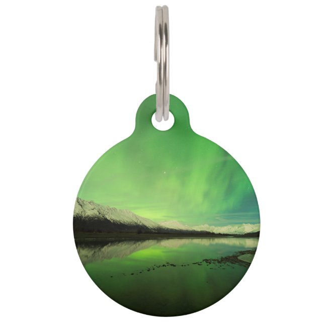 Shallows Aurora Huisdierpenning (Voorkant)