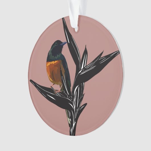 Shama-vogel met witte pomp Acrylversiering Ornament (voorkant)