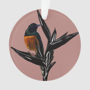 Shama-vogel met witte pomp Acrylversiering Ornament