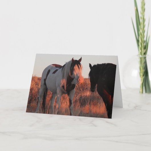 Shaman 5 x 7 briefkaart (Voorkant)