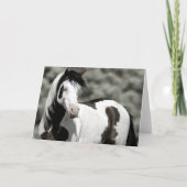 Shaman de Mustang Folded Note Card Notitiekaartje (Voorkant)