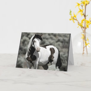 Shaman Folded Wenskaart Kaart