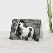 Shaman Folded Wenskaart Kaart (Voorkant)