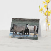 Shaman & Granite ~ Legend Wenskaart Kaart (Gele Bloem)