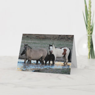 Shaman & Granite ~ Legend Wenskaart Kaart