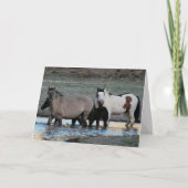 Shaman & Granite ~ Legend Wenskaart Kaart (Voorkant)