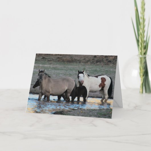 Shaman & Granite ~ Legend Wenskaart Kaart (Voorkant)