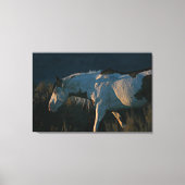 Shaman Medicine Pet Stallion Canvas Afdruk (Voorkant)