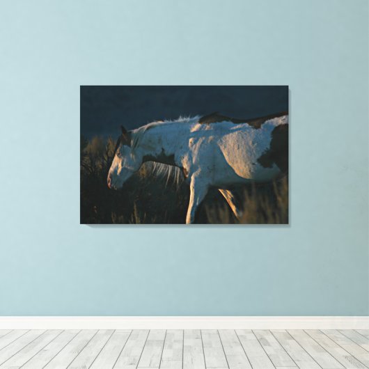 Shaman Medicine Pet Stallion Canvas Afdruk (Insitu (Houten vloer))