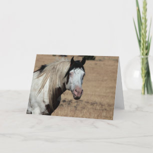 Shaman WildCard Bedankkaart