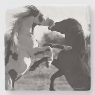 Shaman, wilde Petten hengst - Onderzetter