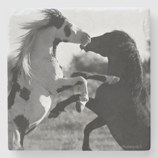 Shaman, wilde Petten hengst - Onderzetter (Voorkant)