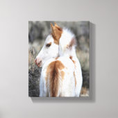 Shaman's Little Filly Wrapped Canvas Afbeelding (Voorkant)