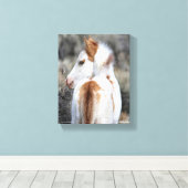Shaman's Little Filly Wrapped Canvas Afbeelding Afdruk (Insitu (Houten vloer))