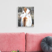 Shaman's Little Filly Wrapped Canvas Afbeelding Afdruk (Insitu (Woonkamer))