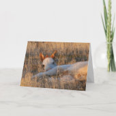 Shaman's Wenskaart met de kleine legende Kaart (Voorkant)