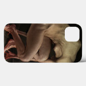Shame 2012 Case-Mate iPhone case (Achterkant (horizontaal))