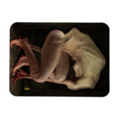 Shame 2012 magneet (Horizontaal)