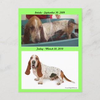 Shammy_Landscape, Shammy2, Opname - 3 September… Briefkaart