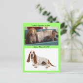 Shammy_Landscape, Shammy2, Opname - 3 September… Briefkaart (Staand voorkant)