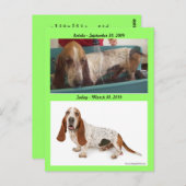 Shammy_Landscape, Shammy2, Opname - 3 September… Briefkaart (Voorkant / Achterkant)