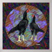 Shamo: Zwarte Paar Poster (Voorkant)