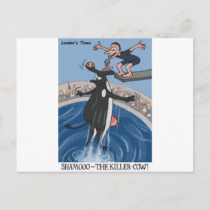 Shamooo Funny Koe Gifts & Collectibles Briefkaart