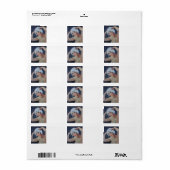 Shampoo Day Etiket (Full Sheet)