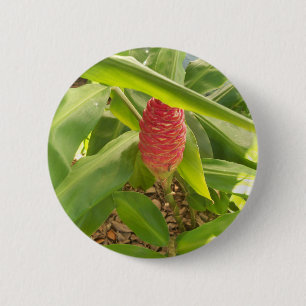 Shampoo gember bloem ronde button 5,7 cm