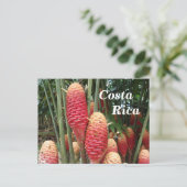 Shampoo Ginger, Costa Rica Briefkaart (Staand voorkant)