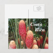 Shampoo Ginger, Costa Rica Briefkaart (Voorkant / Achterkant)