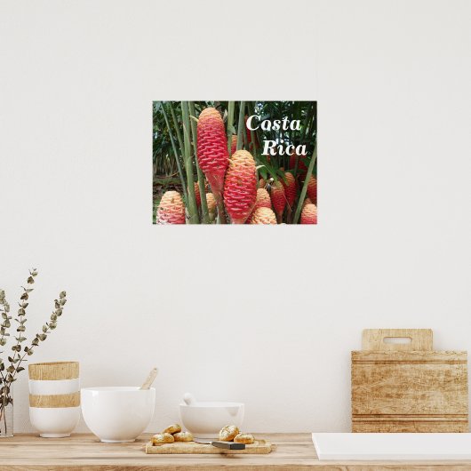 Shampoo Ginger, Costa Rica Poster (Keuken)