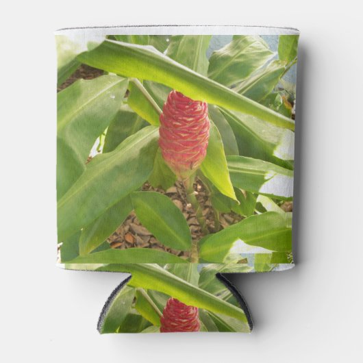 Shampoo Ginger flower Blikjeskoeler (Voorkant)