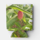 Shampoo Ginger flower Blikjeskoeler (Achterkant)