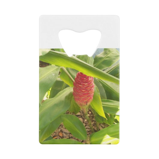 Shampoo Ginger flower Creditkaart Flessenopener (Voorkant)