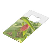 Shampoo Ginger flower Creditkaart Flessenopener (Voorkant Gekanteld)