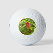 Shampoo Ginger flower Golfballen (Voorkant)