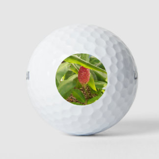 Shampoo Ginger flower Golfballen