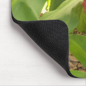 Shampoo Ginger flower Muismat (Hoek)