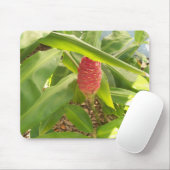 Shampoo Ginger flower Muismat (Met muis)