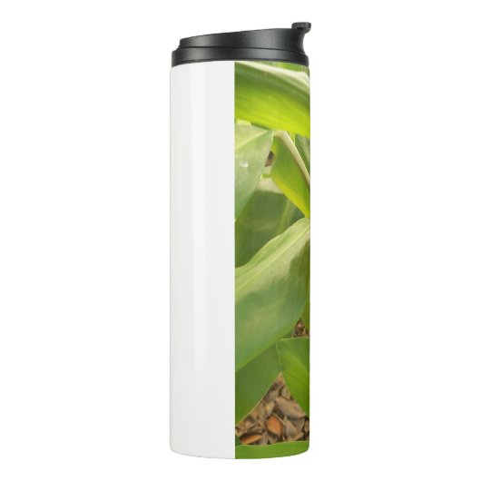 Shampoo Ginger flower Thermosbeker (Gedraaid links)