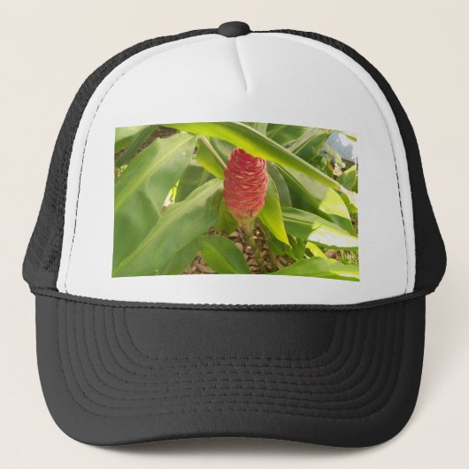 Shampoo Ginger flower Trucker Pet (Voorkant)