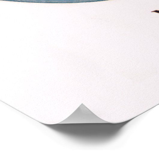  Shampoo Poster Mulsified Cocoanut Oil (Hoek)